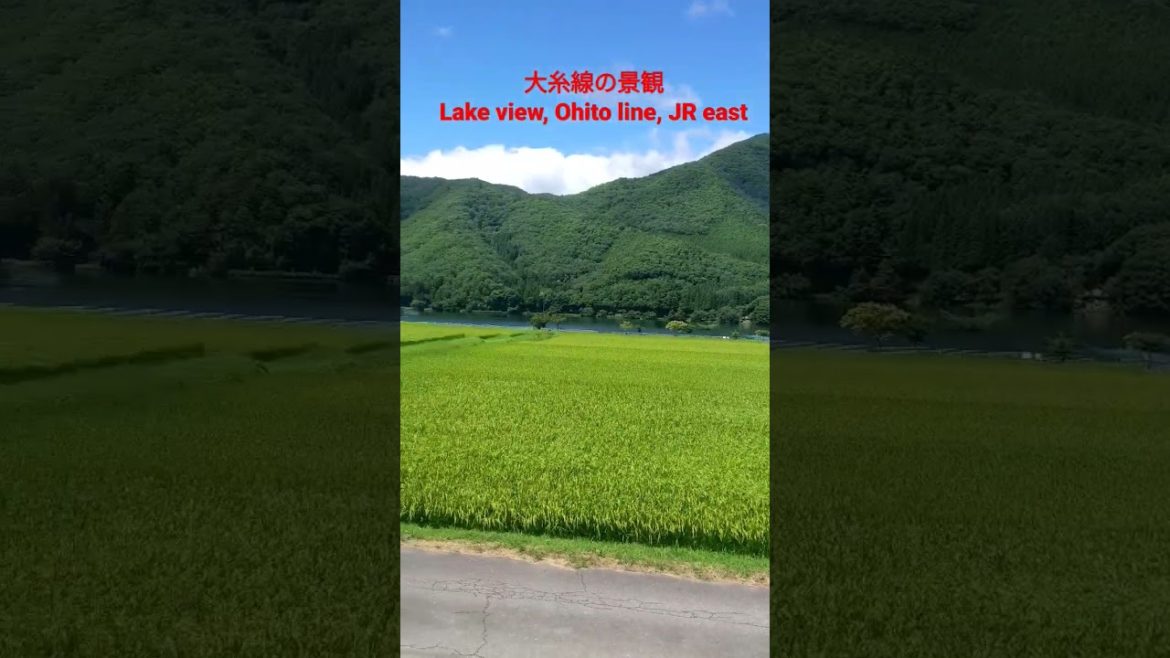 【観光】木崎湖、大糸線Lake Kisaki, Ohito line, Nagano pref. #旅の道草 #観光 #旅行 #shorts #japan #鉄道