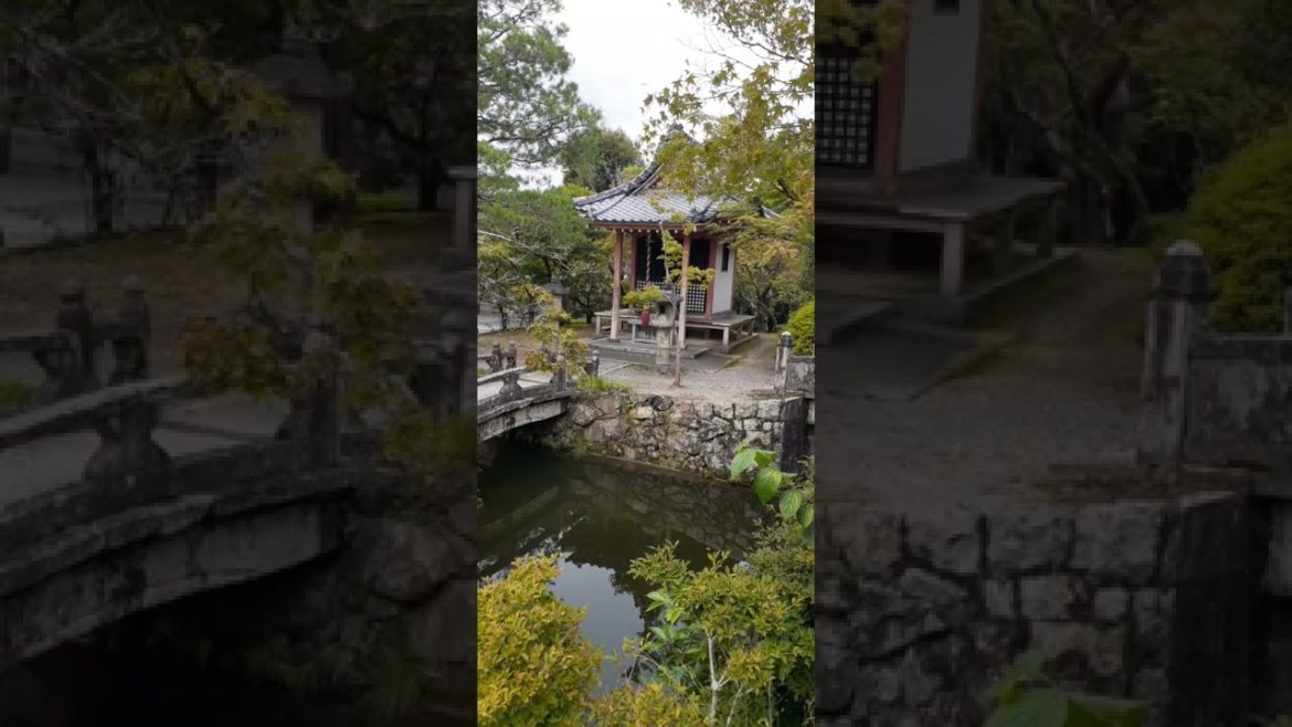 Video postcard from #Kyoto #Japan #shorts #asmr