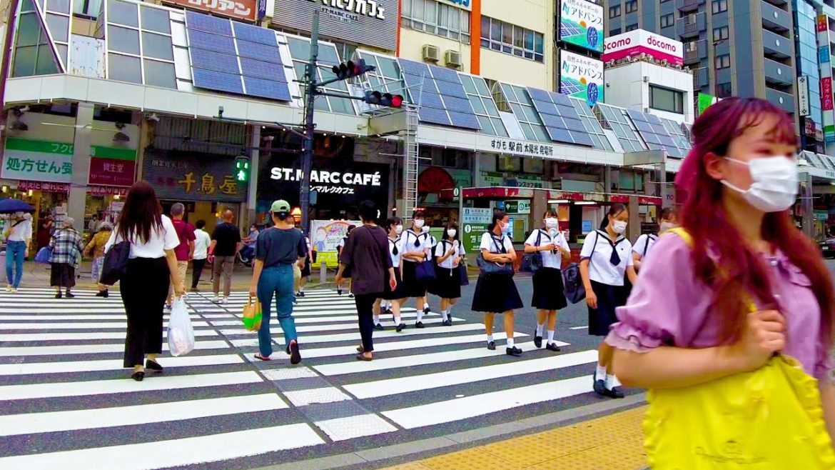 Sugamo in Tokyo has a peaceful space ♪💖🐶4K ASMR non-stop 1 hour 03 minutes