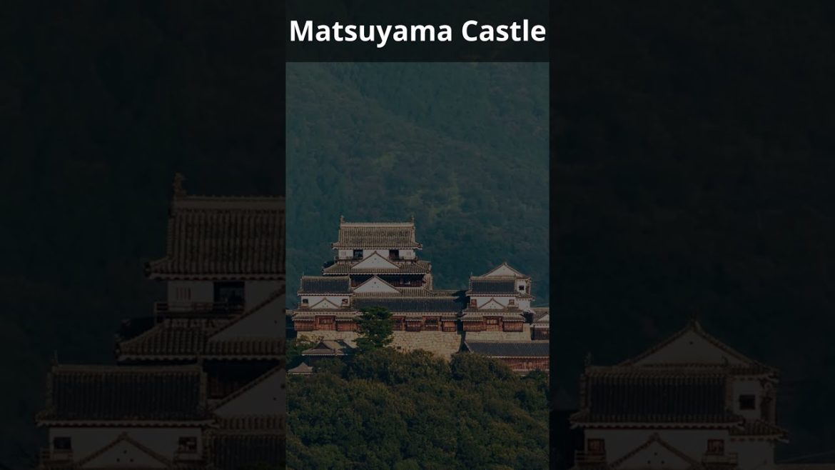 Top-Rated Tourist Attractions in Japan #shorts