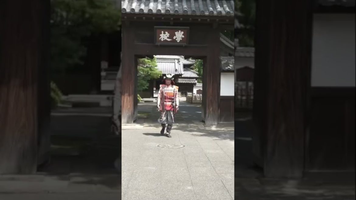 This is what 2 weeks in Japan looks like (sneak peek)