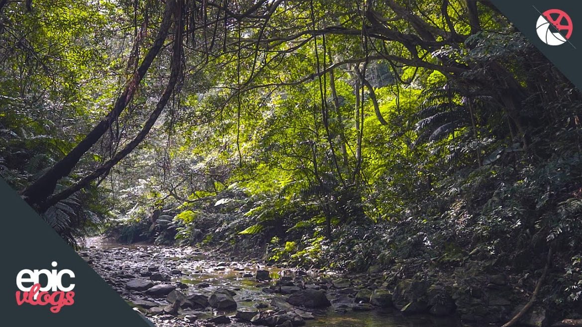 Wasserfall im Regenwald! Okinawa Tag 2