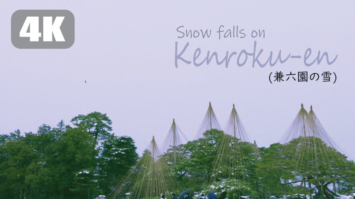 SNOW FALLS ON KENROKUEN | WINTER IN JAPAN | DJI POCKET 2 4K FOOTAGE TEST | 兼六園の雪