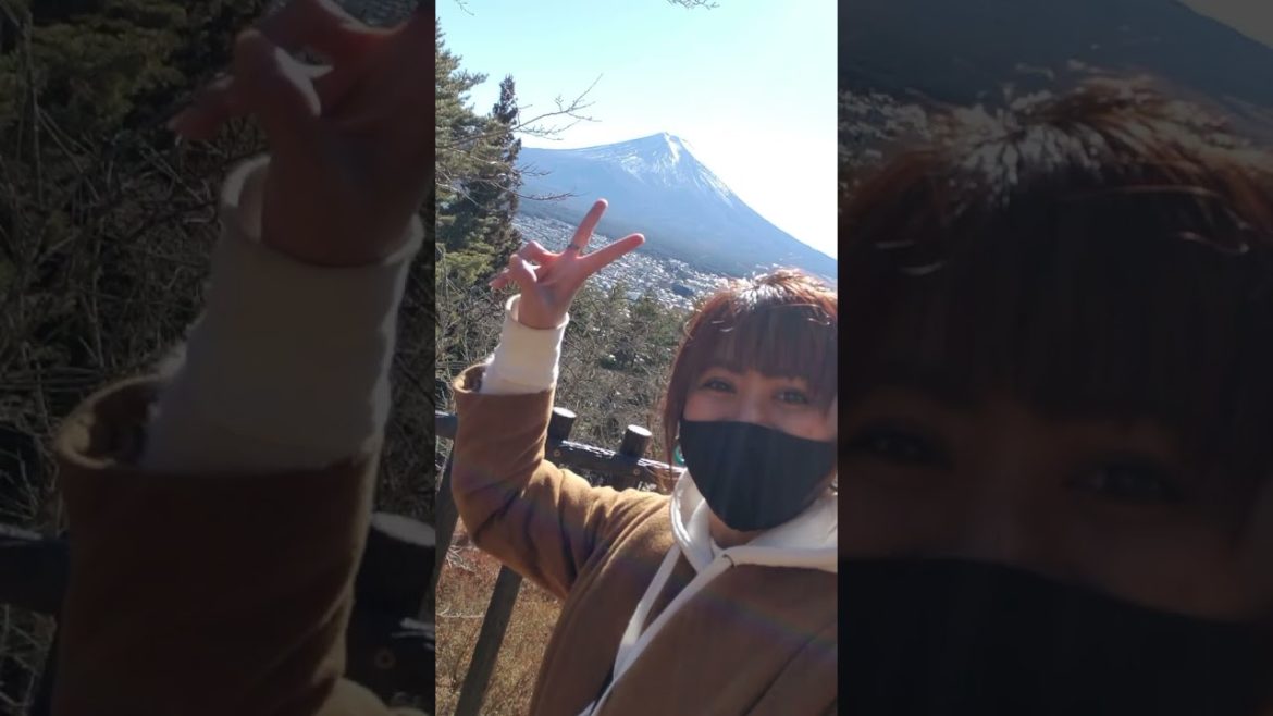 Day Trip to Arakurayama Sengen Park / Chureito Pagoda /  Mt. Fuji Day Trip to Arakurayama Sengen Park / Chureito Pagoda /  Mt. Fuji