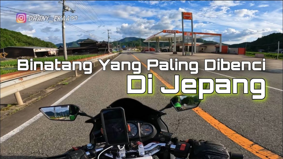 Di Jepang , Hewan Bisa Hidup Dengan Bebas … Tapi …