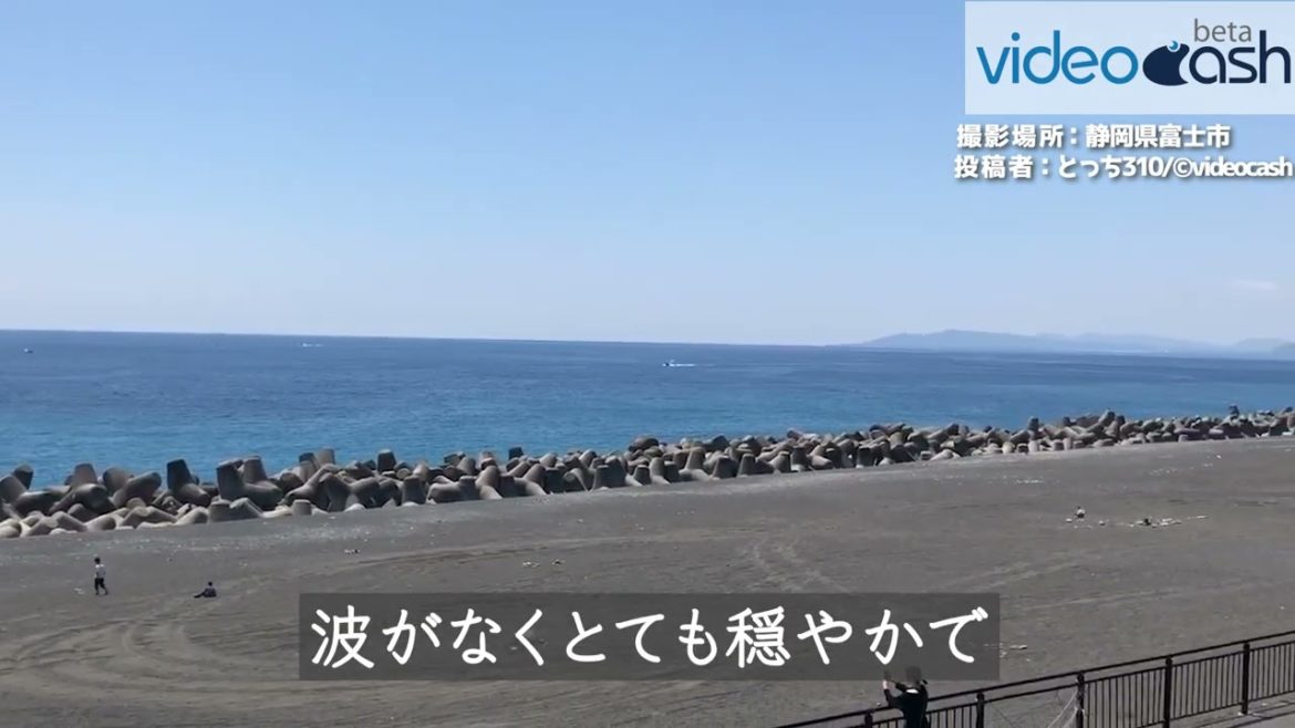 【水平線が美しい駿河湾】