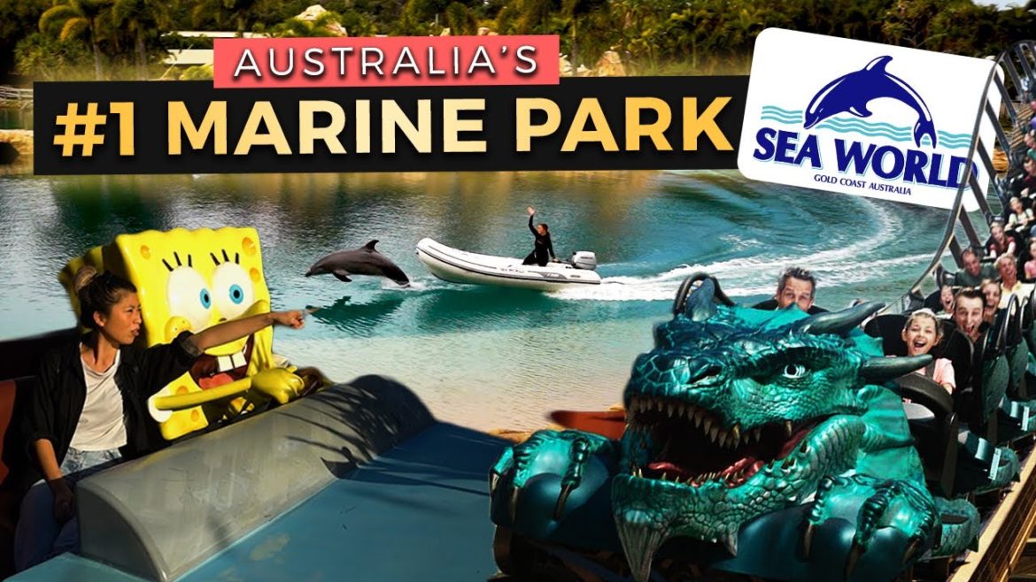 Staying the Night Inside SEA WORLD Gold Coast | Resort Tour, Rides + Attractions Staying the Night Inside SEA WORLD Gold Coast | Resort Tour, Rides + Attractions