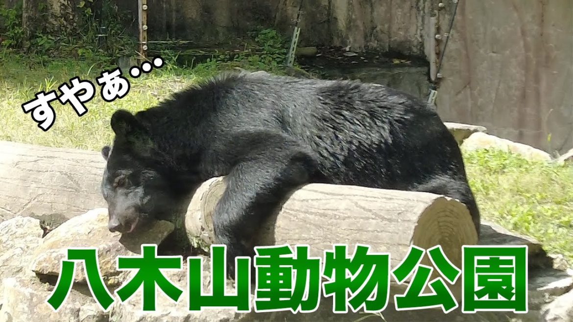 【旅Vlog】動物たちに癒されまくり！八木山動物園は地上の楽園でした…