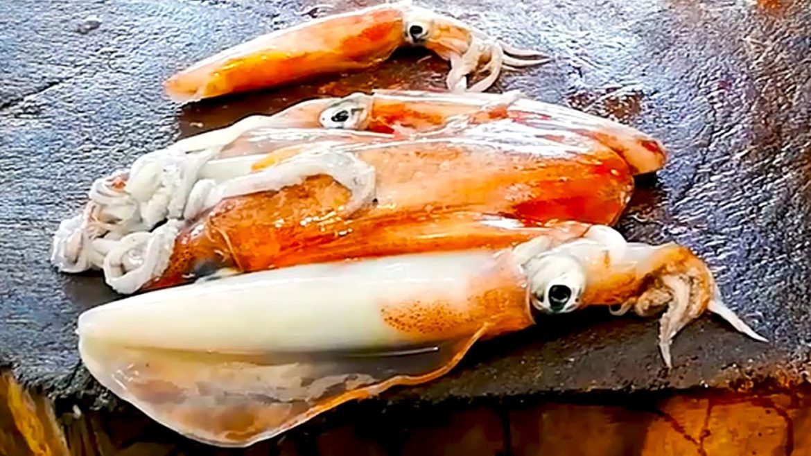 Cutting Squid Fish  | Fish Cutting skills