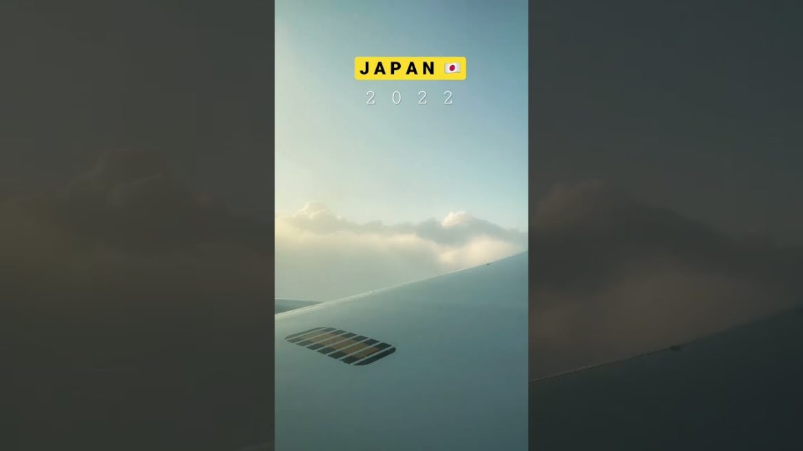 Japan 2022 #japan  #tokyo  #japantravel  #travelshorts #travel #ytshorts #yt #tokyotravel #shorts