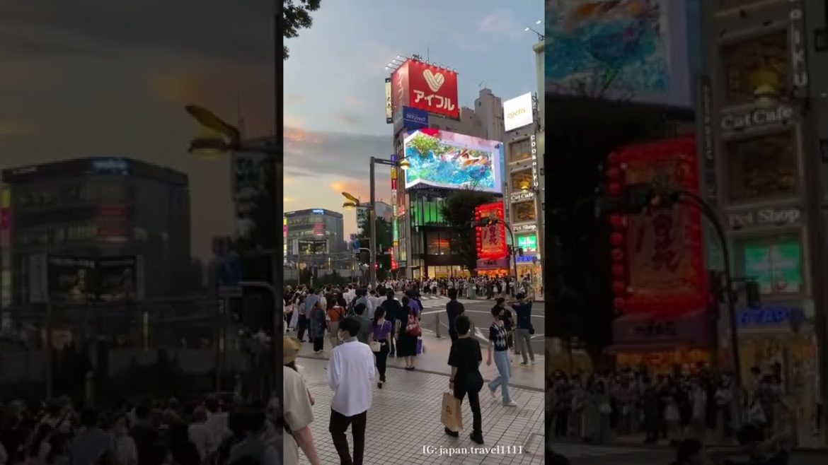3D Anime in Tokyo Shinjuku Crossing #4k #walk #japantravel #japan #travel #trip #tokyo 3D Anime in Tokyo Shinjuku Crossing #4k #walk #japantravel #japan #travel #trip #tokyo