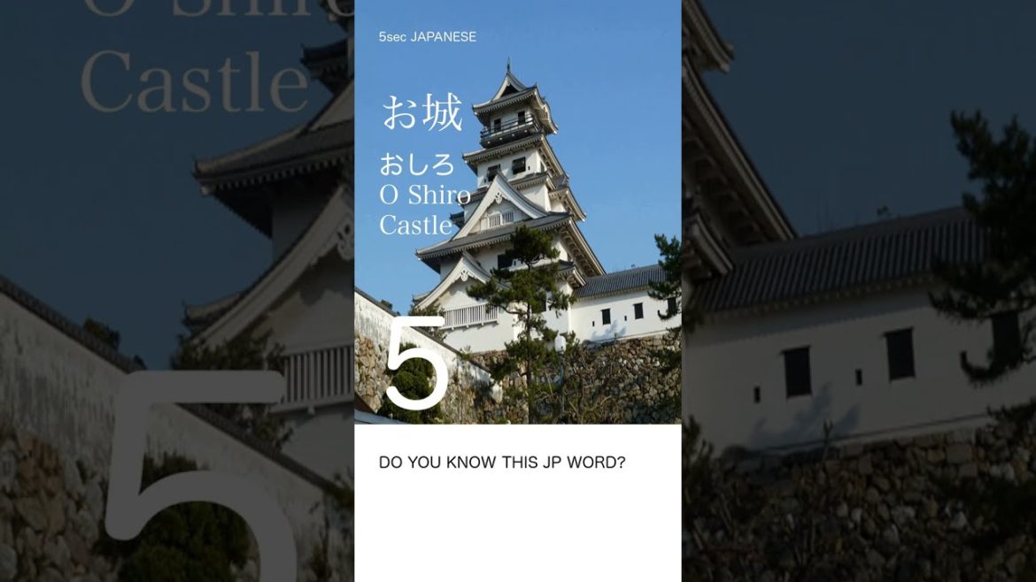 【お城_おしろ_Castle】PRACTICE & TRAVEL JAPAN☆TOKYO NATIVE VOICE☆ #shorts