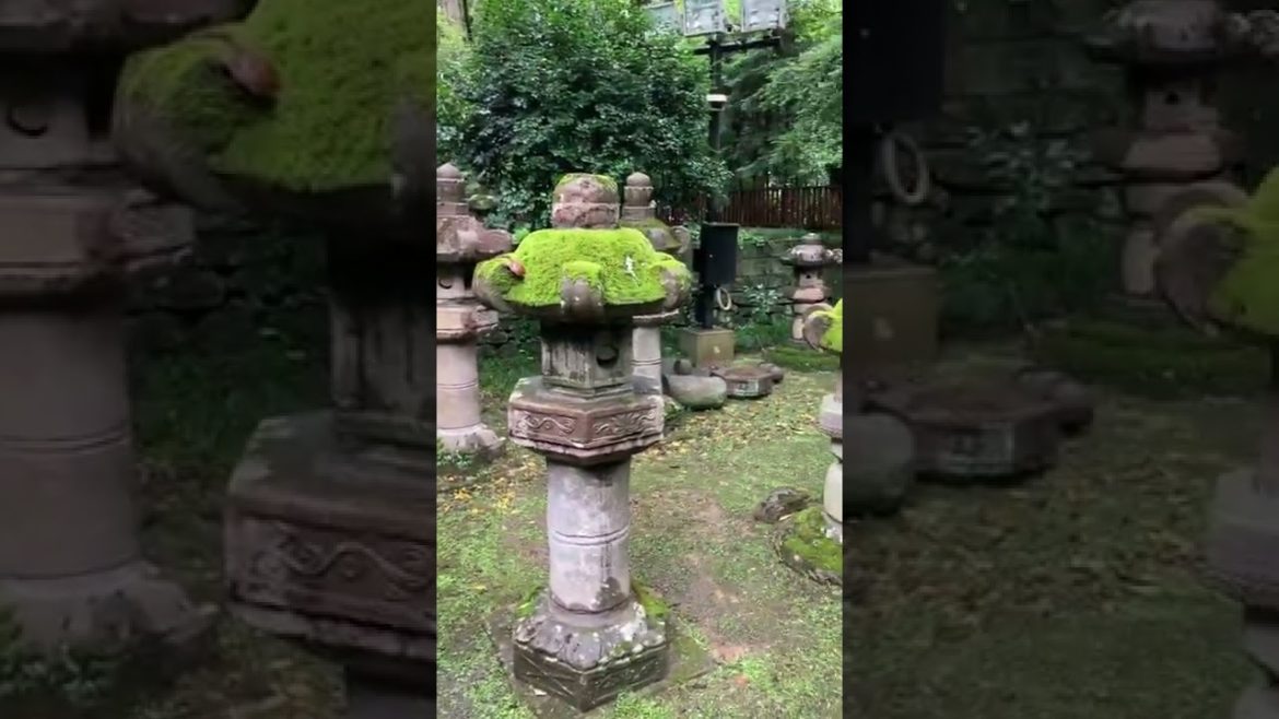 感仙殿(日本仙台)  コケがきれい #青苔