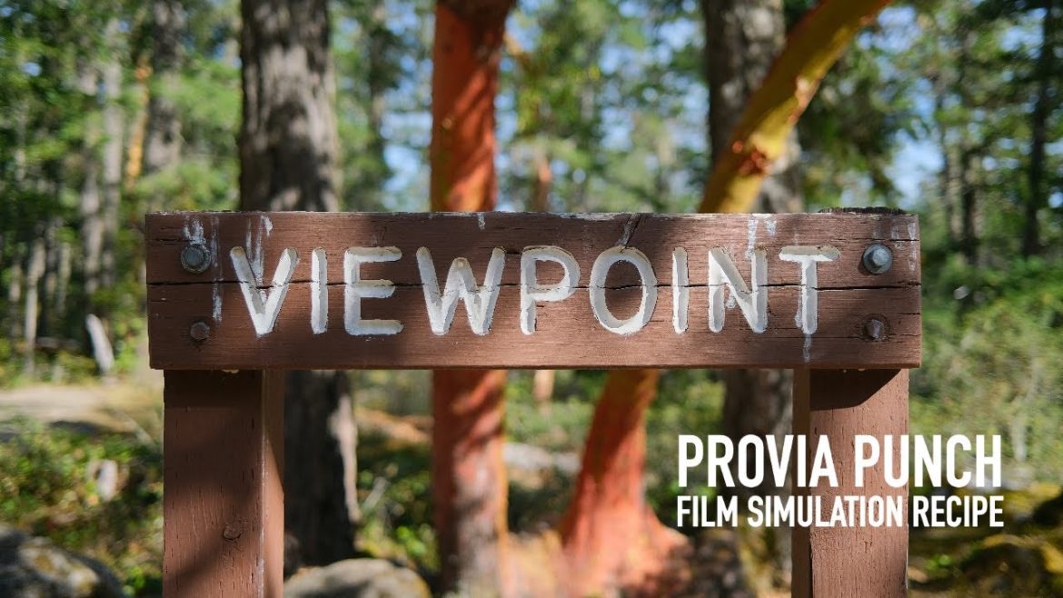 Provia Punch Film Simulation Recipe | Fuji X100v Provia Punch Film Simulation Recipe | Fuji X100v