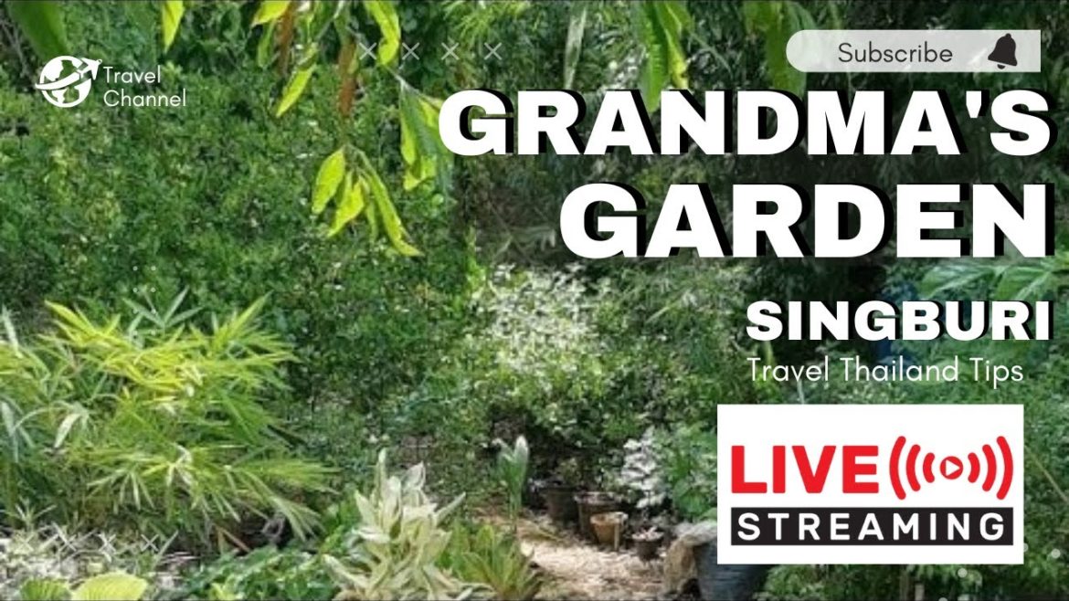 A garden of my grandmother's Sister, Countryside Life l SingBuri #thaivlog #reallifevlogs A garden of my grandmother's Sister, Countryside Life l SingBuri #thaivlog #reallifevlogs