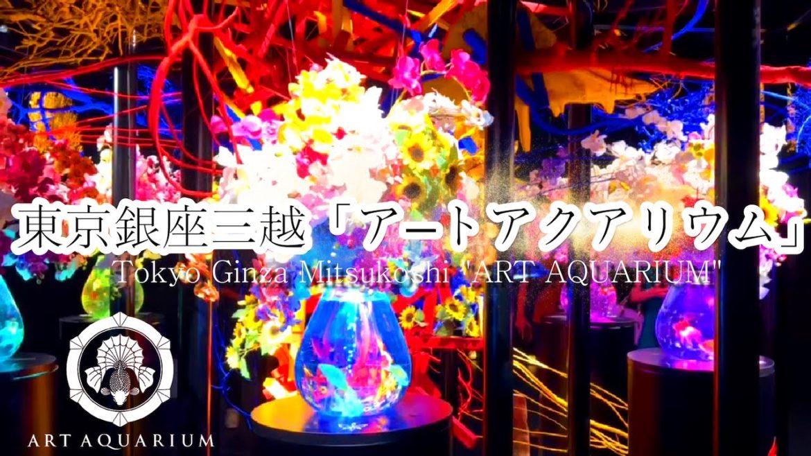 東京銀座三越「アートアクアリウム美術館GINZA」Tokyo Ginza Mitsukoshi "ART AQUARIUM MUSEUM GINZA"