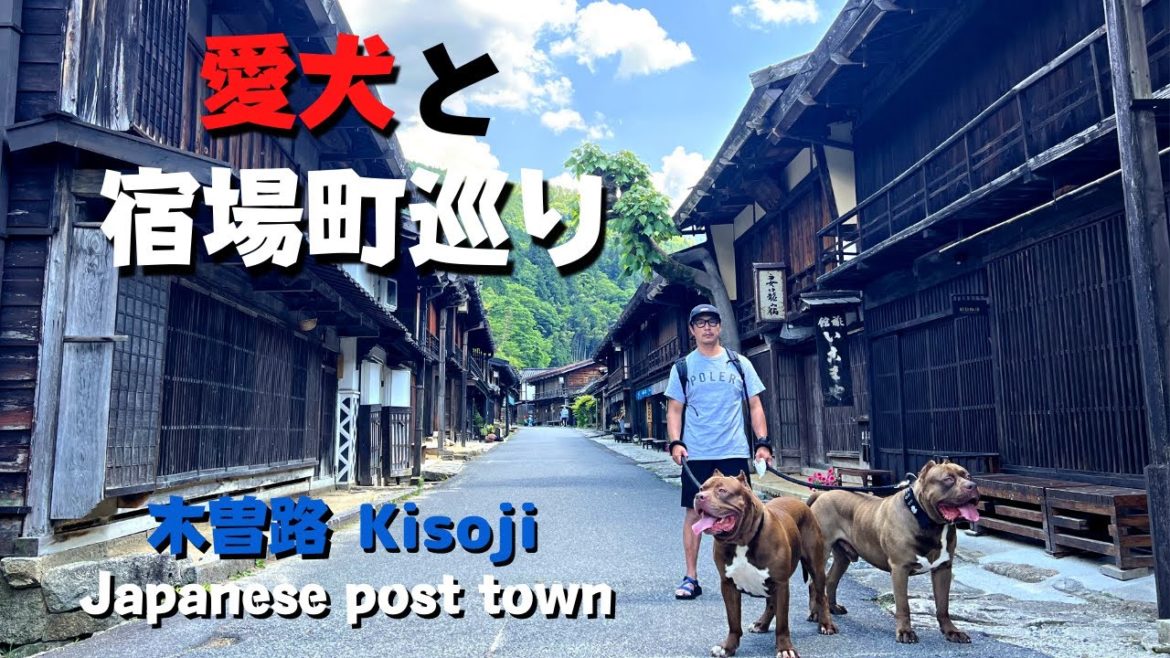 【犬連れ車中泊旅】木曽路宿場町巡り 江戸時代にタイムスリップ!Japanese post town tour. Travel back in time to the Edo period! 【犬連れ車中泊旅】木曽路宿場町巡り 江戸時代にタイムスリップ!Japanese post town tour. Travel back in time to the Edo period!