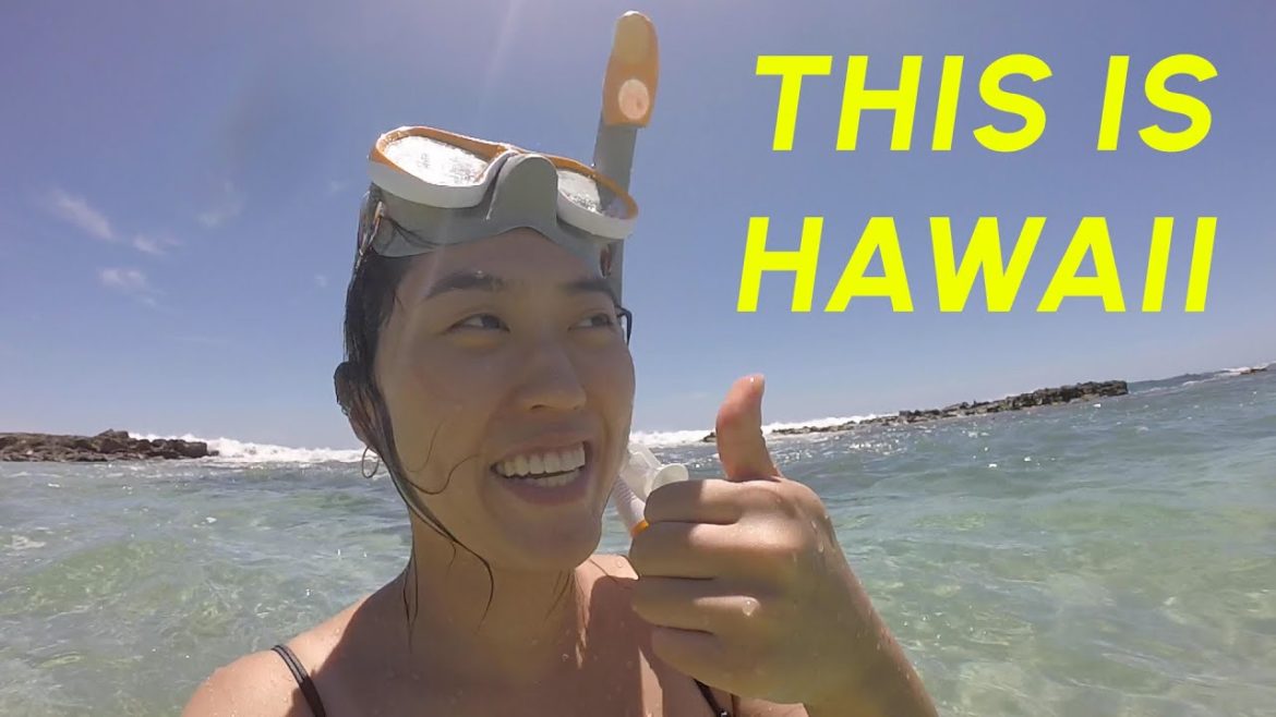 Hawaii Vlog I snorkeling, beaches, hikes & strolls in Waikiki I 하와이 여행 브이로그 🌴