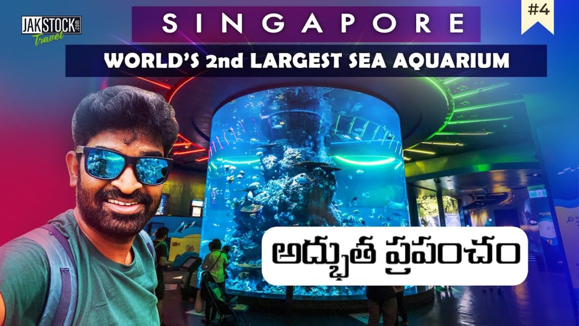 SEA Aquarium Singapore Day3 | Sentosa Island Beach | Cable car | Jakstock Travel | Babu Jakkula – 4k SEA Aquarium Singapore Day3 | Sentosa Island Beach | Cable car | Jakstock Travel | Babu Jakkula - 4k