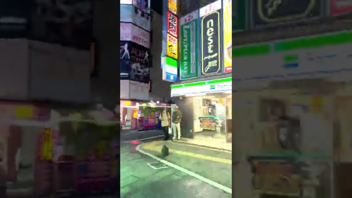 The full story is in the comments section🌸// #night #walking #shinjuku #tokyo #japan #shorts The full story is in the comments section🌸// #night #walking #shinjuku #tokyo #japan #shorts