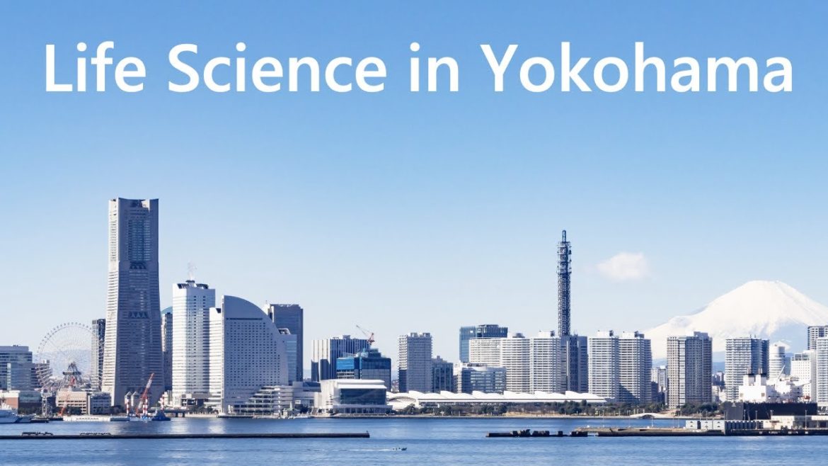 Yokohama's Life Science Industry