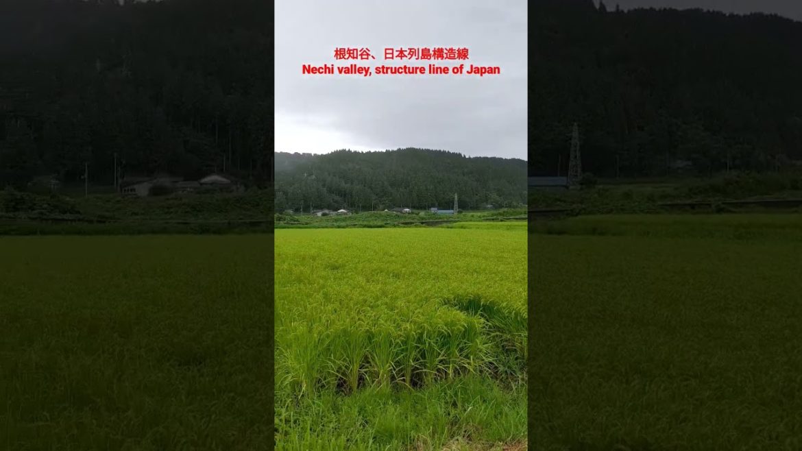 【観光】根知谷、日本列島構造線の上。Nechi valley, Niigata prefecture. Structure line of Japan #旅の道草 #旅行 #観光 #japan
