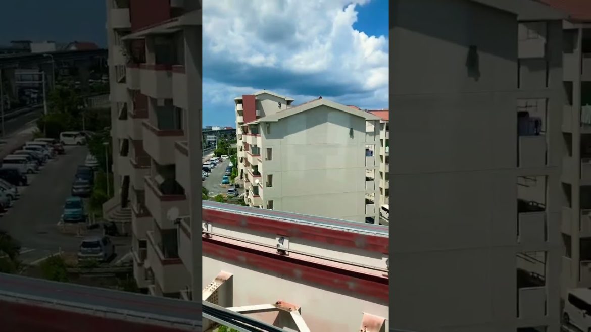 Take a ride in Okinawa Urban Monorail