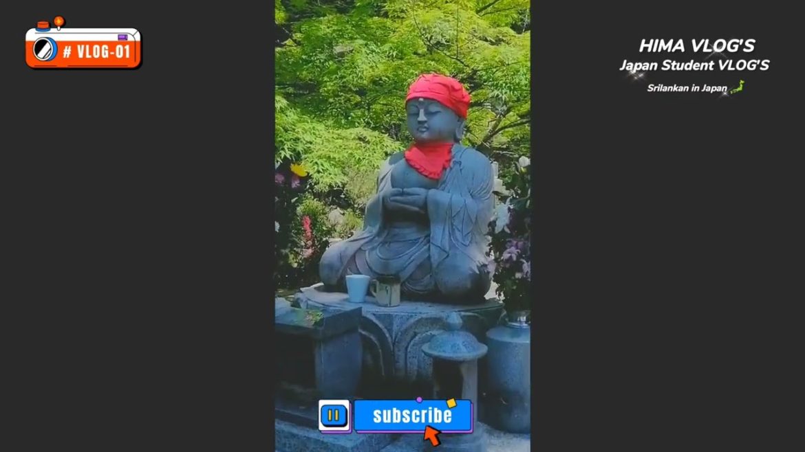 Japan language School picnic , Nagoya | Jokoji temple #Srilankan #japan #nagoya #Japanvlog #SL