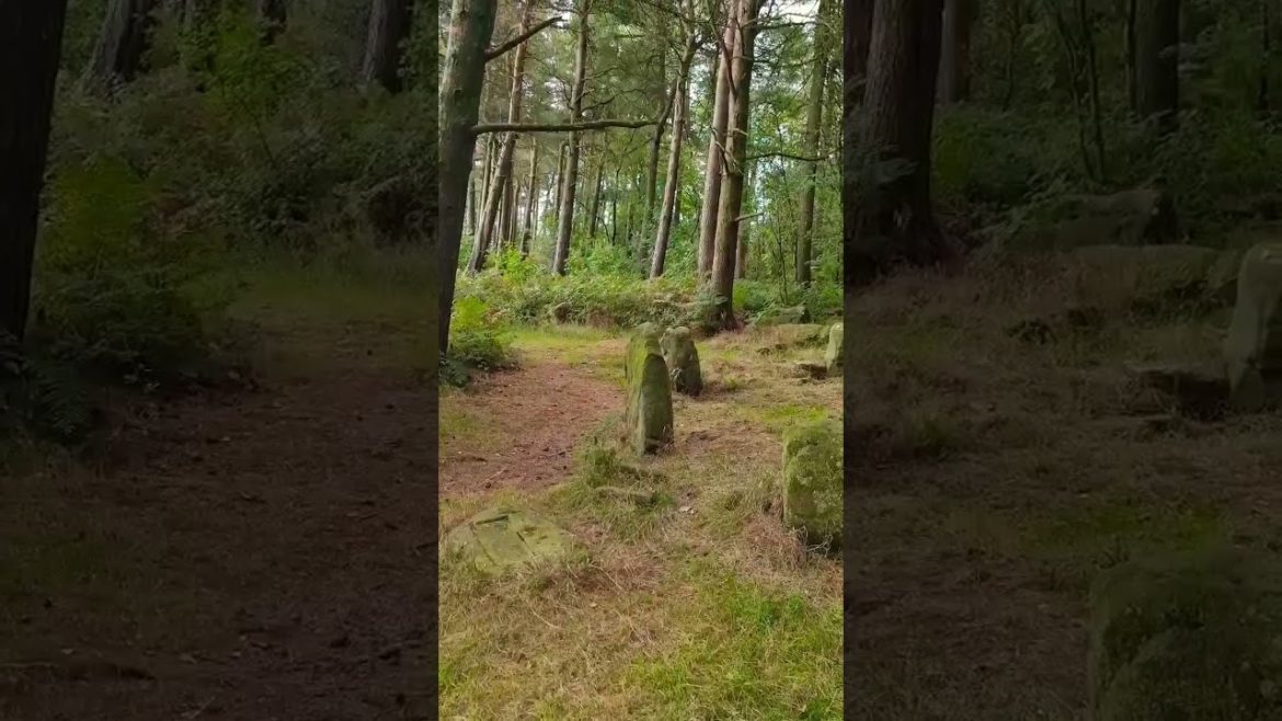 Hidden In The Forest – Doll Tor Six Stones Circle – Peak District – UK | Solo Traveller Hidden In The Forest - Doll Tor Six Stones Circle - Peak District - UK | Solo Traveller