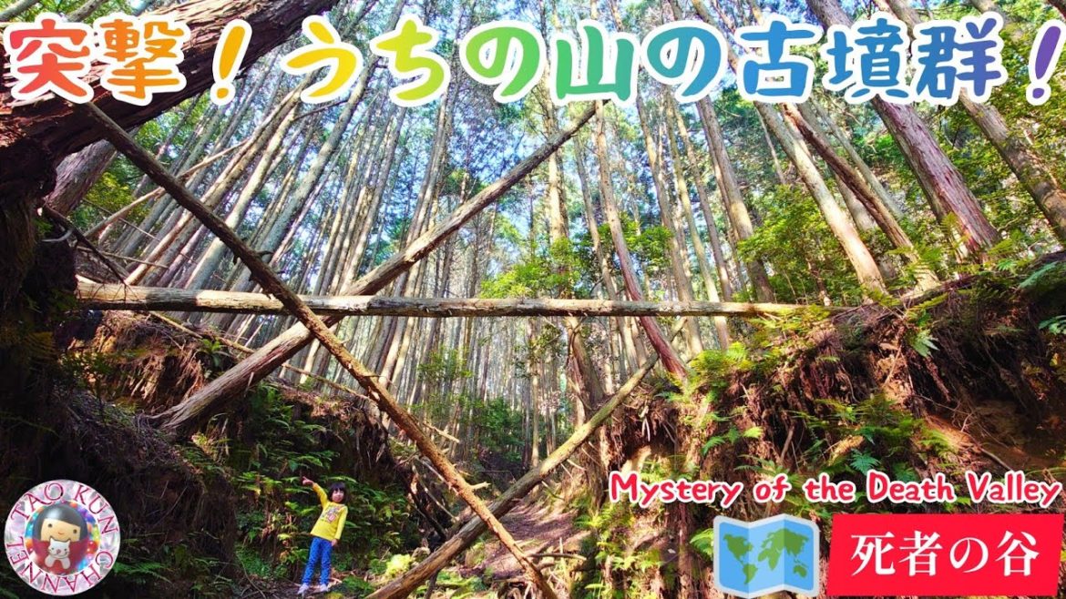 🌲死者の谷へようこそ②🌲龍王山古墳群🌲突撃！わたしの古墳群🌲ナニコレ歴史ミステリー🌲松本清張が「火の路」で紹介🔥太鳳くんと山の辺の道ハイキング🐤探検🗾Mystery of Death Valley🗾