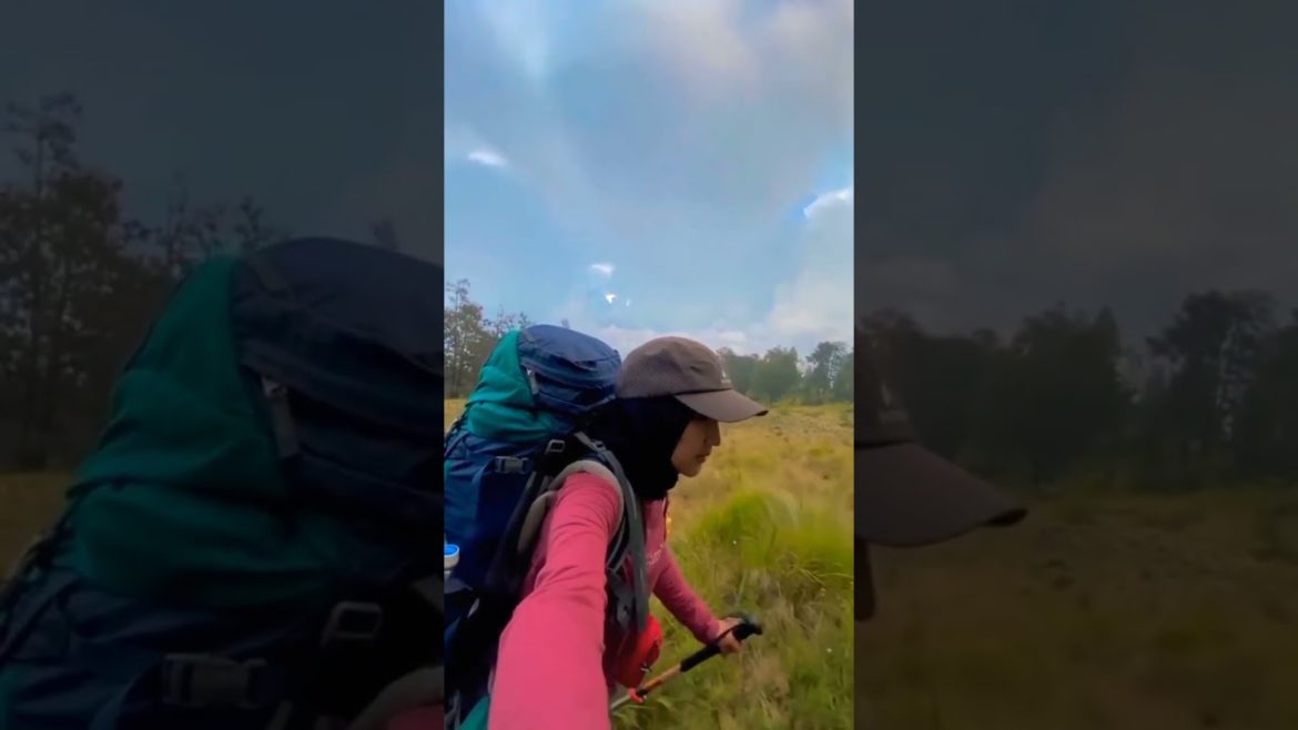Story Pendaki gunung Lawu Jawa - Gunung Indonesia #shorts #pendaki #story #gunungindonesia