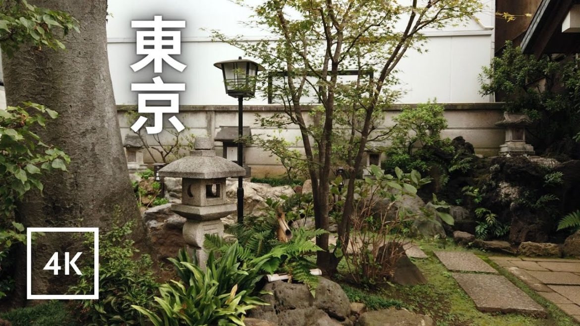 Japan 4K π―π΅ Pagoda in Tokyo Japan 4K π―π΅ Pagoda in Tokyo