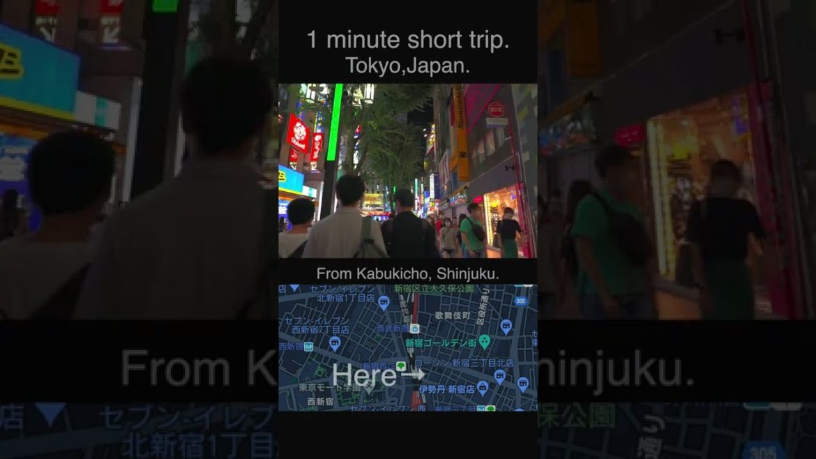 Kabukicho ,Shinjuku ,Tokyo,Japan.1 minute short trip.#shorts