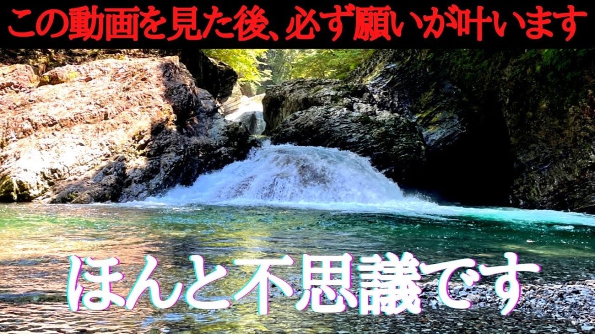 見逃し厳禁⚠️この動画が突然現れたら浄化され幸運が起こり始める前兆!不思議とあなたの願いが叶い始めます 見逃し厳禁⚠️この動画が突然現れたら浄化され幸運が起こり始める前兆!不思議とあなたの願いが叶い始めます