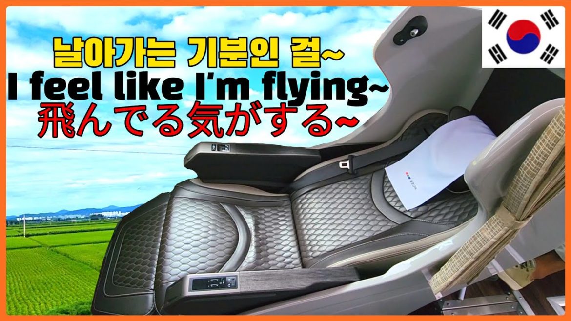 한국의 누워서 가는 최신형 프리미엄 버스 🚌 침대 버스 여행, 동대구-인천