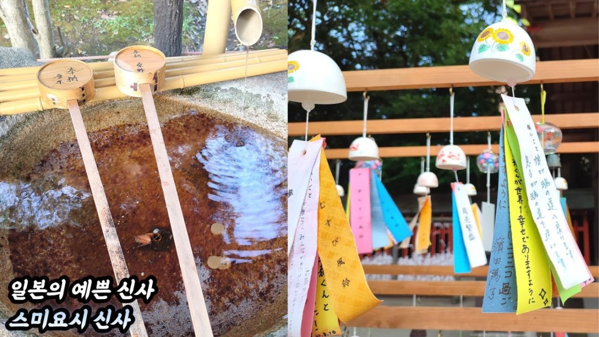 일본 직장인 일상 | 일본의 예쁜 신사 스미요시 신사 | 일본 스미요시 신사 | 일본 브이로그 | 후쿠오카 브이로그 | 일본 랜선여행 | 후쿠오카 랜선여행 | 화질 1440p 일본 직장인 일상 | 일본의 예쁜 신사 스미요시 신사 | 일본 스미요시 신사 | 일본 브이로그 | 후쿠오카 브이로그 | 일본 랜선여행 | 후쿠오카 랜선여행 | 화질 1440p