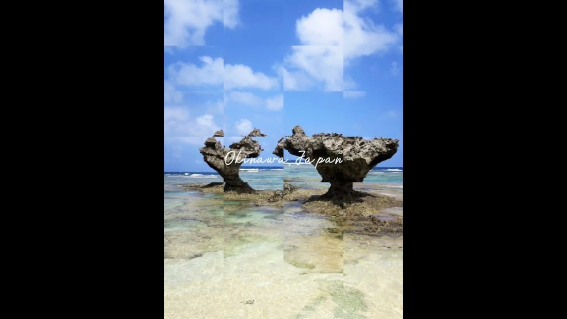 夏は楽しみましたか?何度でも行きたい!沖縄の海・絶景・パワースポット✨#shorts #okinawa 夏は楽しみましたか?何度でも行きたい!沖縄の海・絶景・パワースポット✨#shorts #okinawa