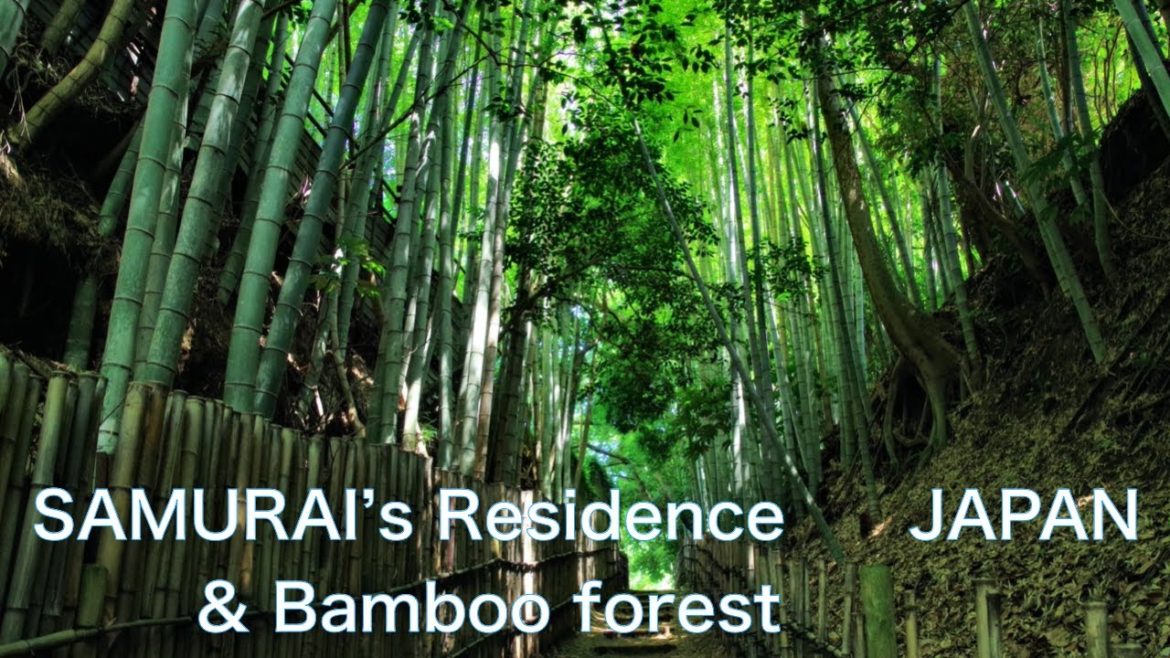 【JAPAN TRAVEL：Samurai's Residence】Explore Samurai's house and bamboo forest　　4K Walk in Japan