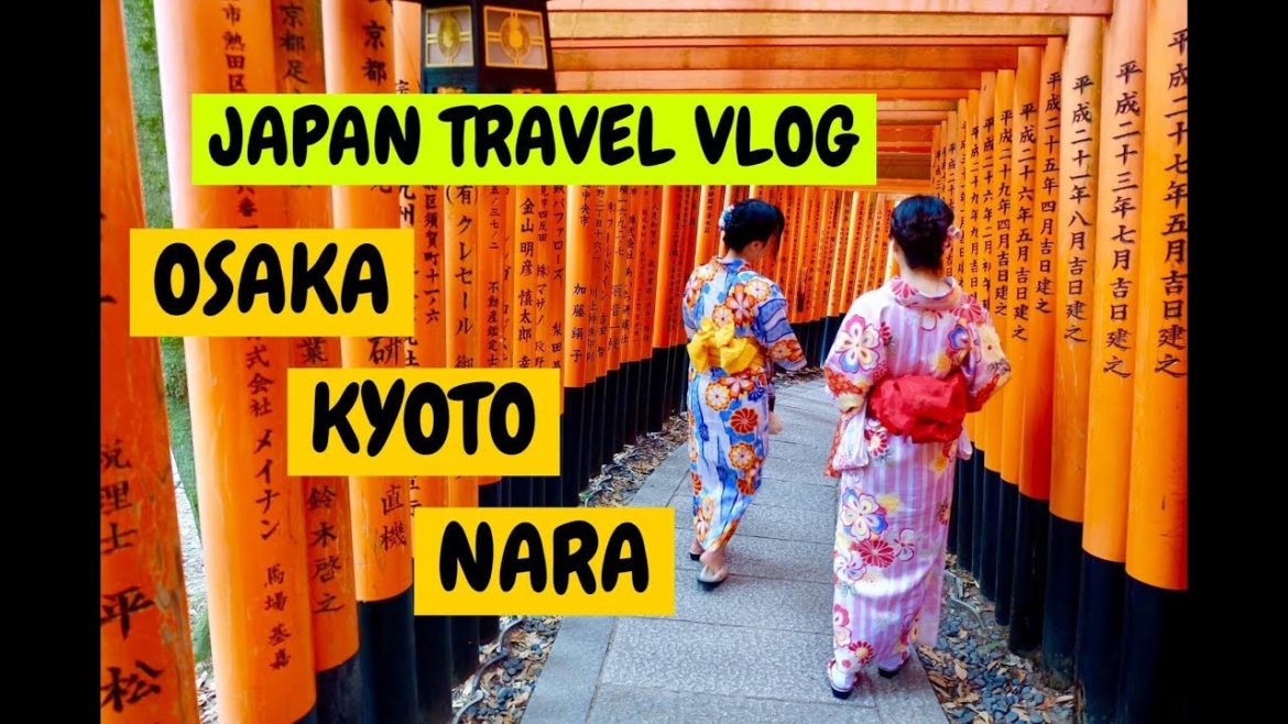 Travel Vlog #6 : FOR THE LOVE OF SUSHI (JAPAN TRAVEL VIDEO)