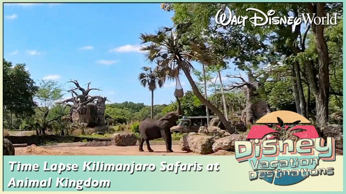 Time Lapse Kilimanjaro Safaris at Animal Kingdom Walt Disney World