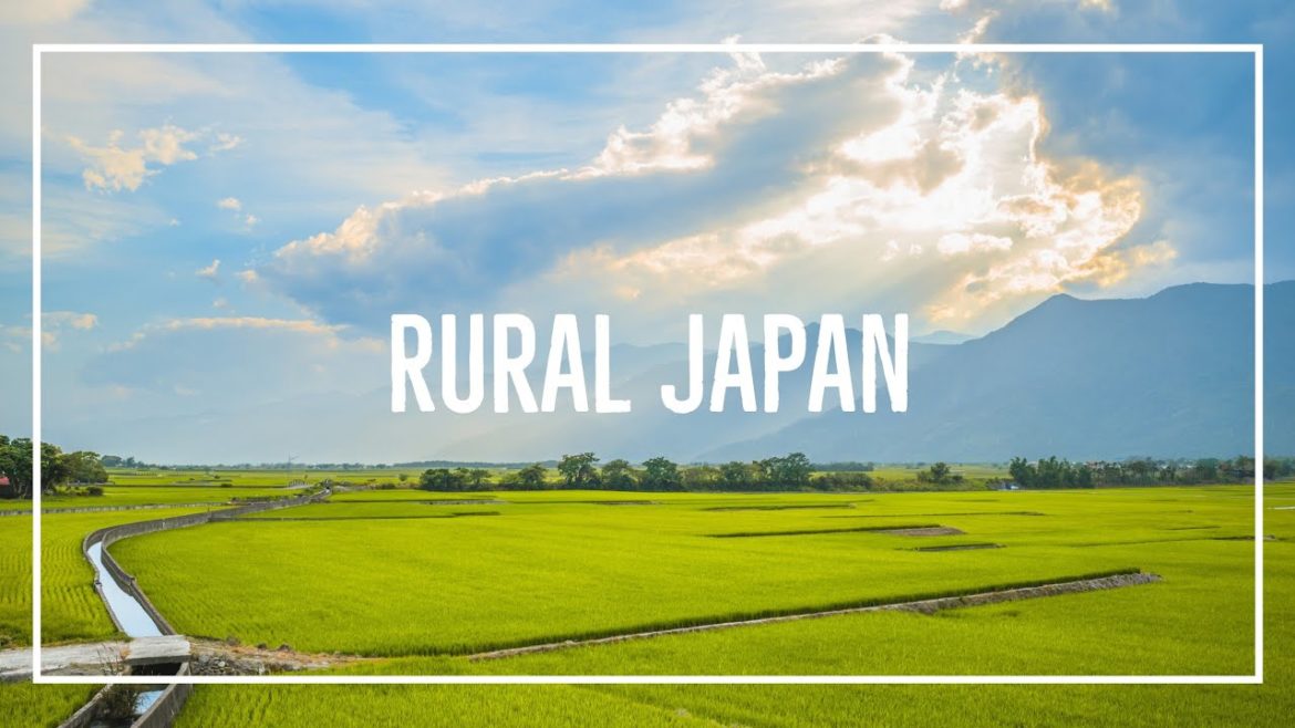 【JAPAN DRIVE】長野の田園風景  Around the Rice Fields | Sunny day with a Nice Breeze | Rural Nagano
