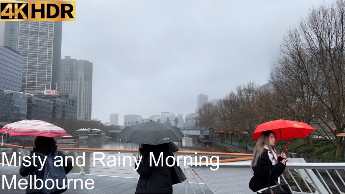 Misty and Rainy Morning | Melbourne Australia | 4K HDR