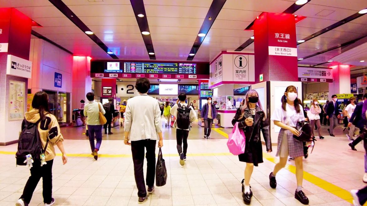 [Shinjuku Walk in Tokyo] Feel the lively creativity ♪ (4K ASMR non-stop 1 hour 01 minutes)