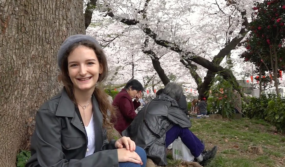 Ohanami in Ueno Park | Japan Travel Guide