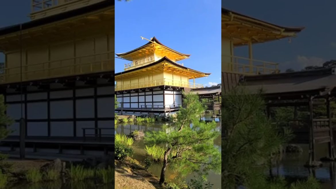 Kinkakuji Temple in Kyoto, Japan #kyoto #temple #japan #kyototemple 【cutout】 #shorts Kinkakuji Temple in Kyoto, Japan #kyoto #temple #japan #kyototemple 【cutout】 #shorts