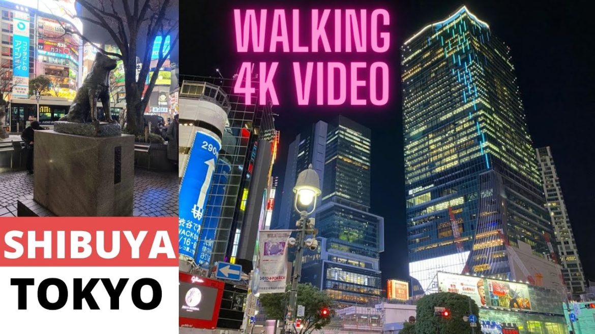 SHIBUYA WALKING VIDEO [4K] | TOKYO, JAPAN | JAPAN TRAVEL VLOG | MAMUN CHOWDHURY | JAPAN 2022