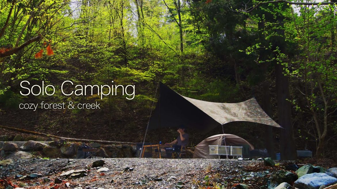 [4K] Solo Camping in cosy forest and creek (ASMR, relax in the tarp, campfire, sounds of nature)