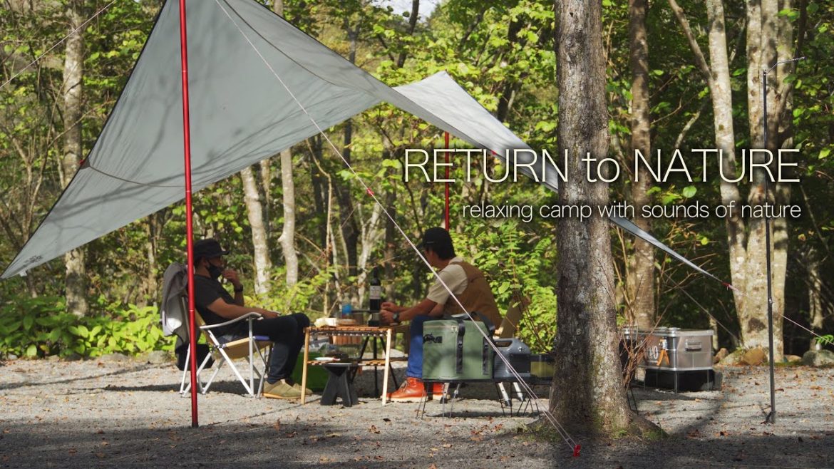 [4K] Camping with sounds of nature (ASMR, campfire, relaxing in the tarp, forest, creek)