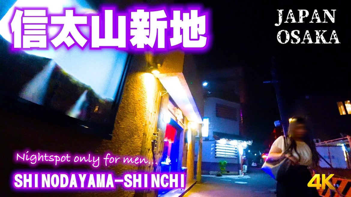 【大阪/信太山新地】 JAPAN OSAKA 「SHINODAYAMA SHINCHI」 red light area -just walking- 4K 【大阪/信太山新地】 JAPAN OSAKA 「SHINODAYAMA SHINCHI」 red light area -just walking- 4K