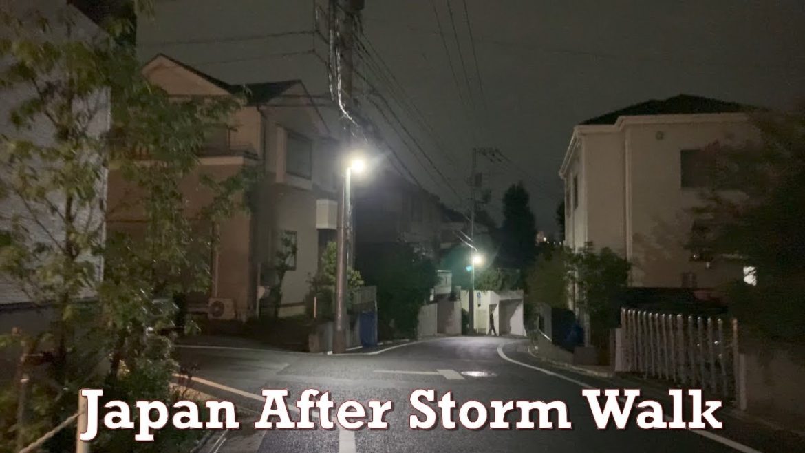 ASMR Japan Night After Storm Walk 2022.09.01 Ambience Sound Rain Sleep Meditate Relax Tokyo Suburb